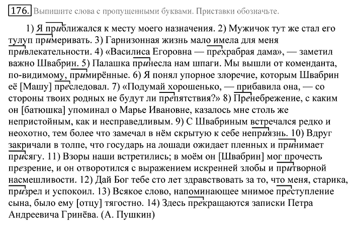 Русский язык, 10 класс, Греков, Крючков, Чешко, 2002-2011, задание: 176