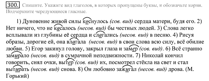 Русский язык, 10 класс, Греков, Крючков, Чешко, 2002-2011, задание: 300