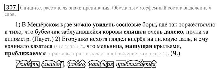 Русский язык, 10 класс, Греков, Крючков, Чешко, 2002-2011, задание: 307