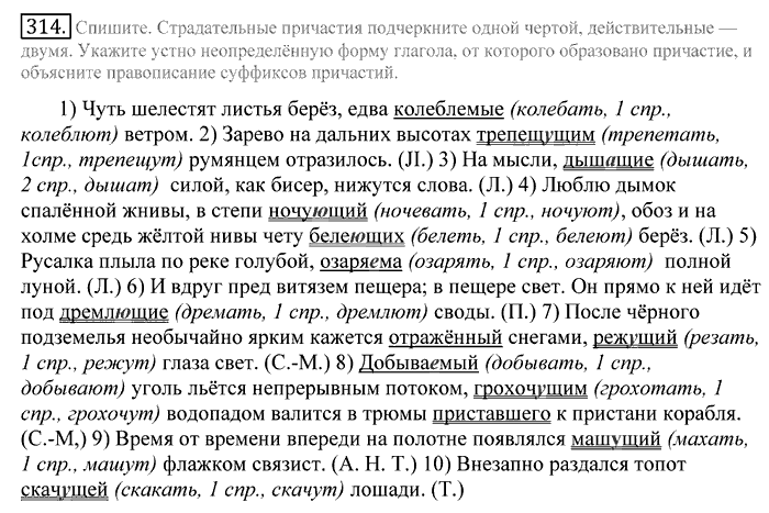 Русский язык, 10 класс, Греков, Крючков, Чешко, 2002-2011, задание: 314