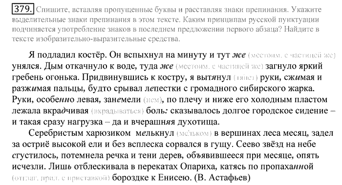 Русский язык, 10 класс, Греков, Крючков, Чешко, 2002-2011, задание: 379