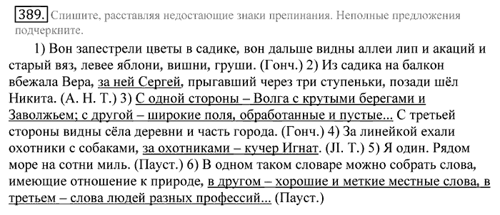 Русский язык, 10 класс, Греков, Крючков, Чешко, 2002-2011, задание: 389
