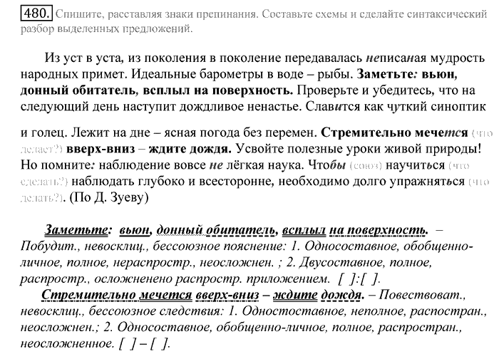 Русский язык, 10 класс, Греков, Крючков, Чешко, 2002-2011, задание: 480