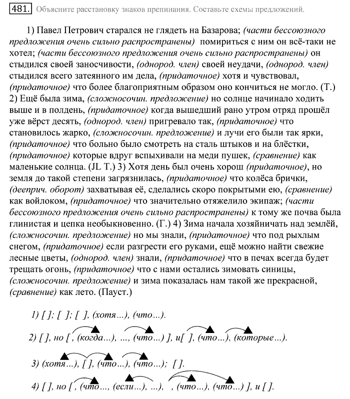 Русский язык, 10 класс, Греков, Крючков, Чешко, 2002-2011, задание: 481