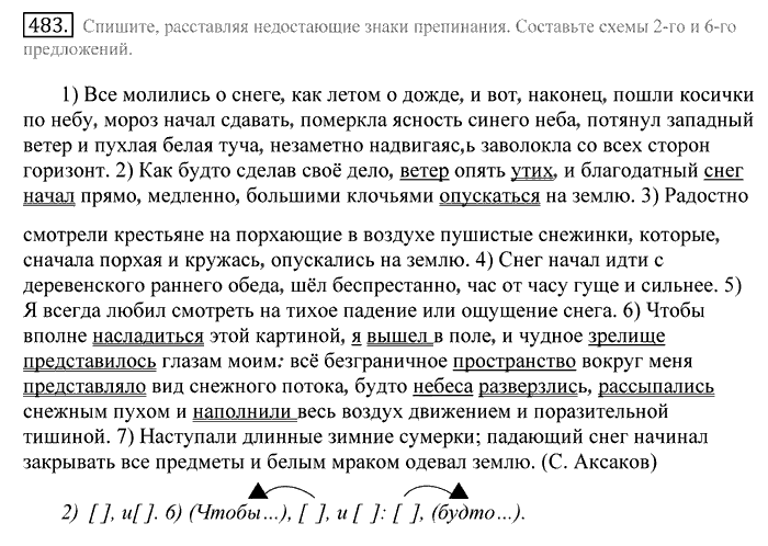 Русский язык, 10 класс, Греков, Крючков, Чешко, 2002-2011, задание: 483