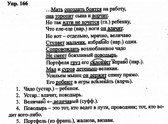Русский язык, 10 класс, Дейкина, Пахнова, 2009, задание: 166