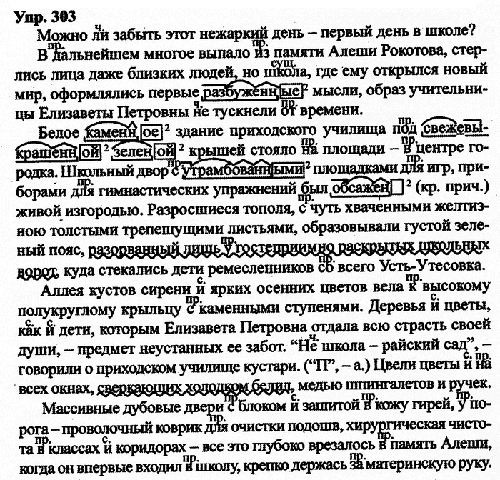 Русский язык, 10 класс, Дейкина, Пахнова, 2009, задание: 303