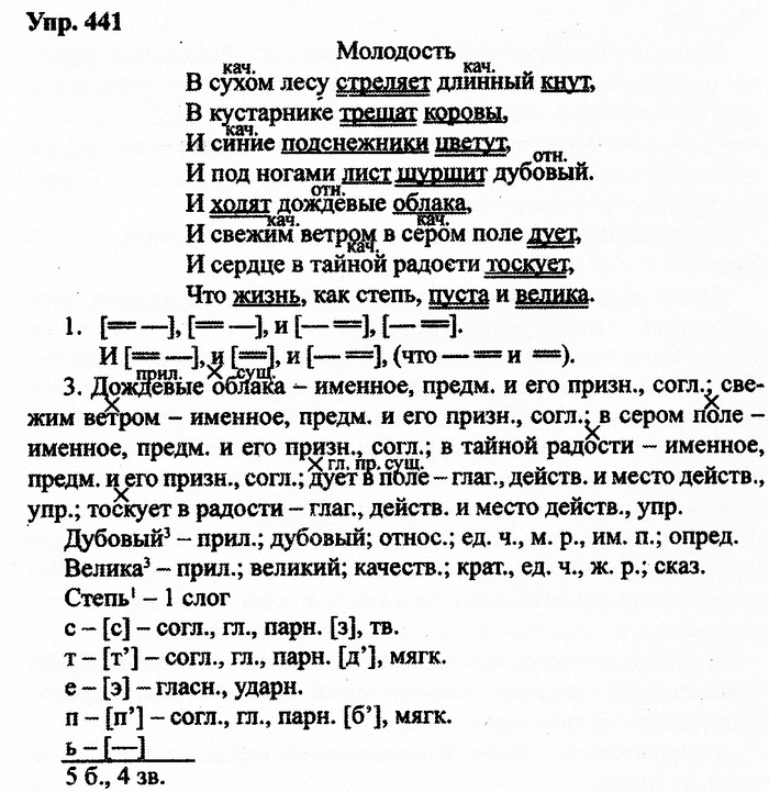 Русский язык, 10 класс, Дейкина, Пахнова, 2009, задание: 441