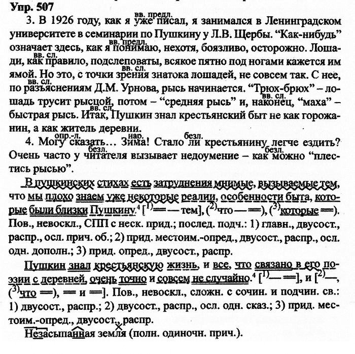 Русский язык, 10 класс, Дейкина, Пахнова, 2009, задание: 507