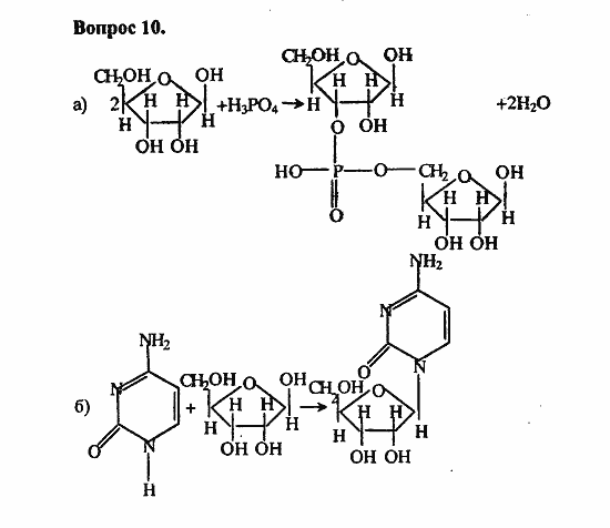 Химия, 11 класс, Л.А.Цветков, 2006-2013, 11. Белки. Нуклеиновые кислоты, § 45. Нуклеиновые кислоты Задача: 10
