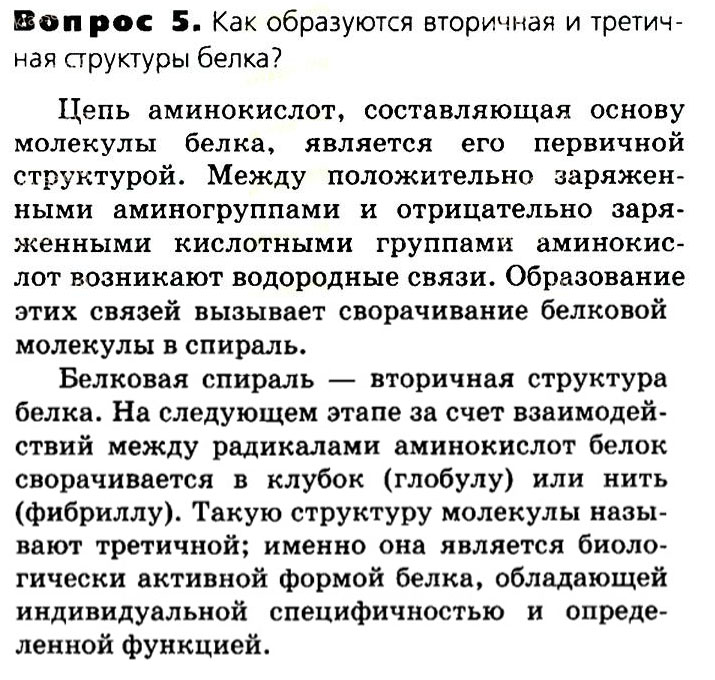Биология, 11 класс, Сивоглазов, Агафонова, 2011-2014, Глава 2. Клетка, Задача: §2.5. Органические вещества. Углеводы. Белки, Вопрос 5.