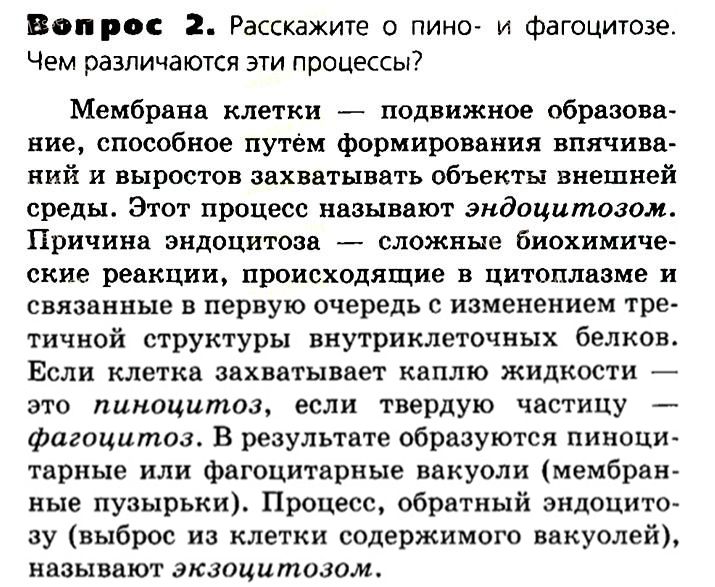 Биология, 11 класс, Сивоглазов, Агафонова, 2011-2014, Глава 2. Клетка, Задача: §2.7. Эукариотическая клетка. Цитоплазма. Органоиды, Вопрос 2.