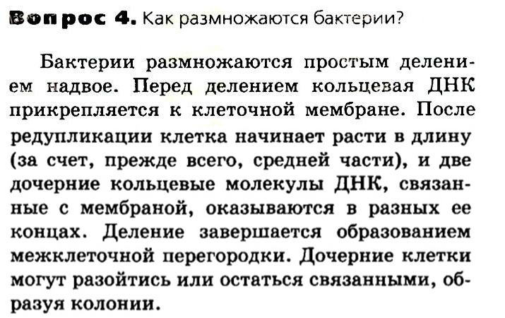 Биология, 11 класс, Сивоглазов, Агафонова, 2011-2014, Глава 2. Клетка, Задача: §2.9. Прокариотическая клетка, Вопрос 4.
