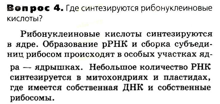 Биология, 11 класс, Сивоглазов, Агафонова, 2011-2014, Глава 2. Клетка, Задача: §2.10. Реализация наследственной информации в клетке, Вопрос 4.