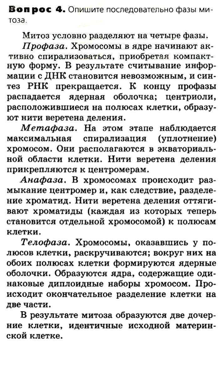 Биология, 11 класс, Сивоглазов, Агафонова, 2011-2014, Глава 3. Организм, Задача: §3.4. Деление клетки. Митоз, Вопрос 4.