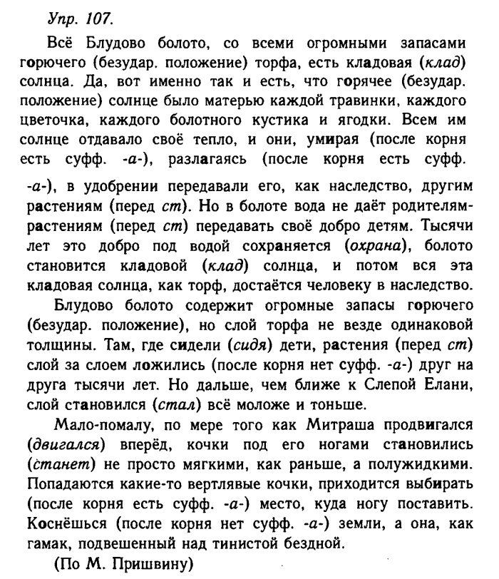 Русский язык, 11 класс, Гольцова, Шамшин, 2011, задание: 107