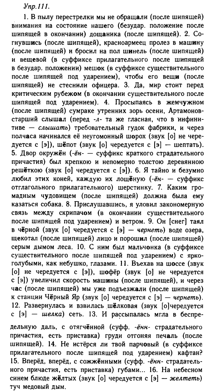 Русский язык, 11 класс, Гольцова, Шамшин, 2011, задание: 111