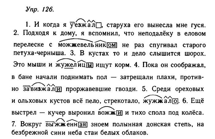 Русский язык, 11 класс, Гольцова, Шамшин, 2011, задание: 126