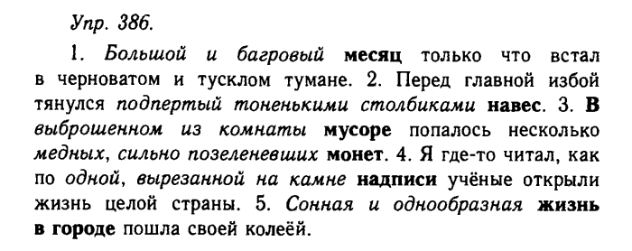 Русский язык, 11 класс, Гольцова, Шамшин, 2011, задание: 386