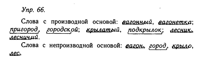 Русский язык, 11 класс, Гольцова, Шамшин, 2011, задание: 66