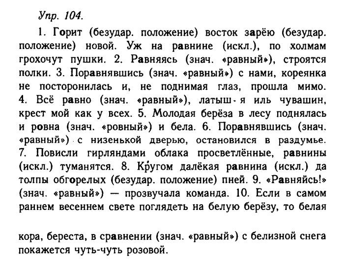 Русский язык, 11 класс, Гольцова, Шамшин, 2011, задание: 104