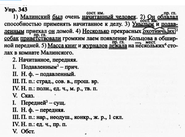 Русский язык, 11 класс, Дейкина, Пахнова, 2009, задание: 343