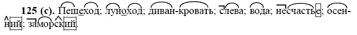 Русский язык, 11 класс, Власенков, Рыбченков, 2009-2014, задание: 125 (с)