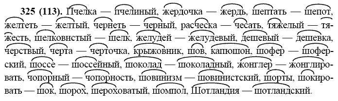 Русский язык, 11 класс, Власенков, Рыбченков, 2009-2014, задание: 325 (113)