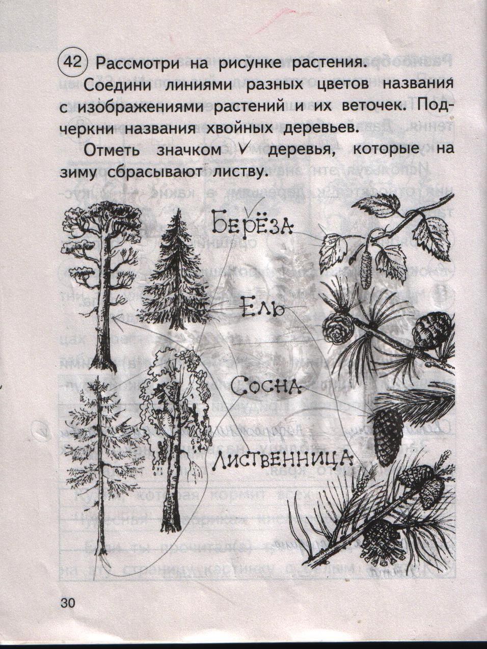 Рабочая тетрадь. Часть 1, 2 класс, О.Н. Федотова, Г.В. Трафимова, С.А. Трафимов, 2014, задание: стр. 30