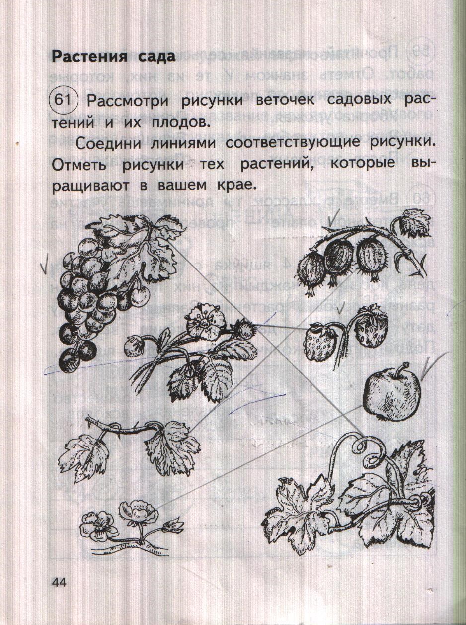 Рабочая тетрадь. Часть 1, 2 класс, О.Н. Федотова, Г.В. Трафимова, С.А. Трафимов, 2014, задание: стр. 44