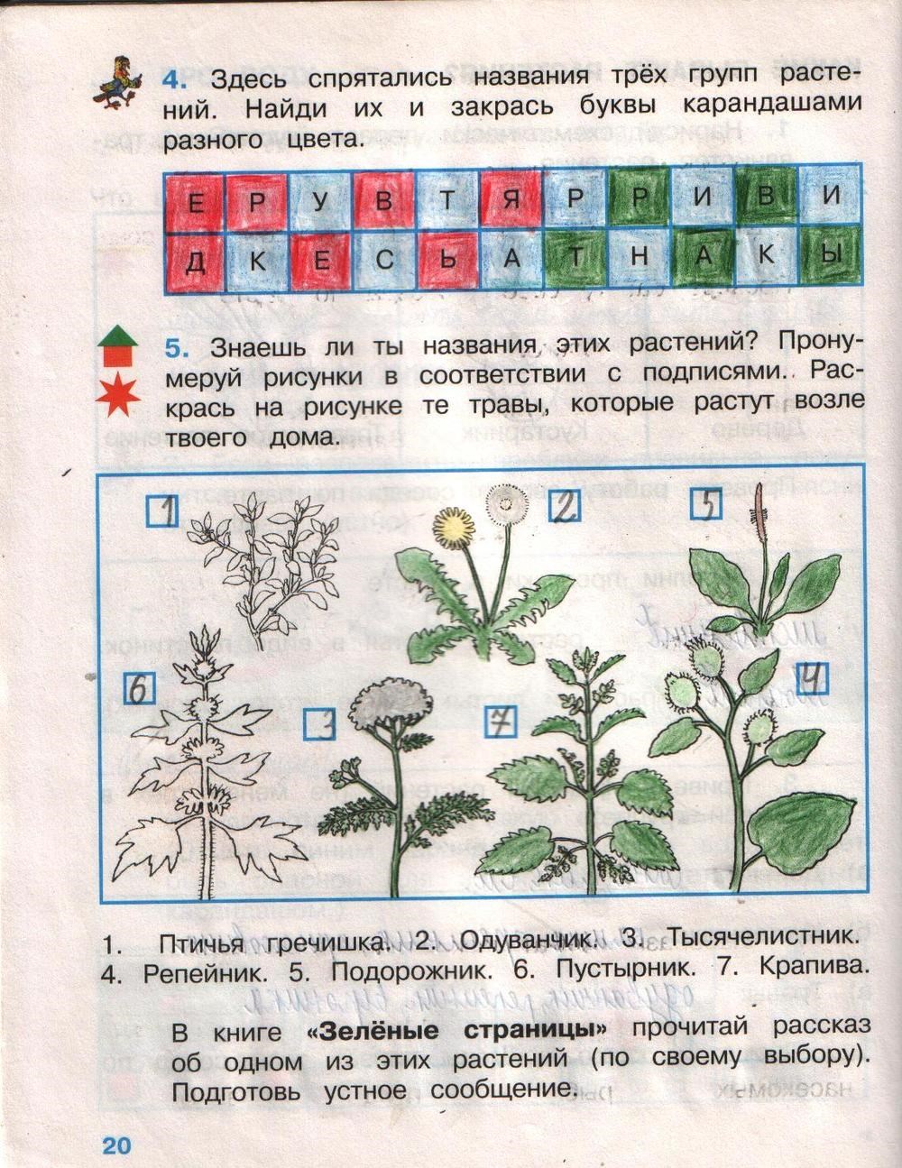 Рабочая тетрадь. Часть 1, 2 класс, Плешаков, 2008, задание: стр.20