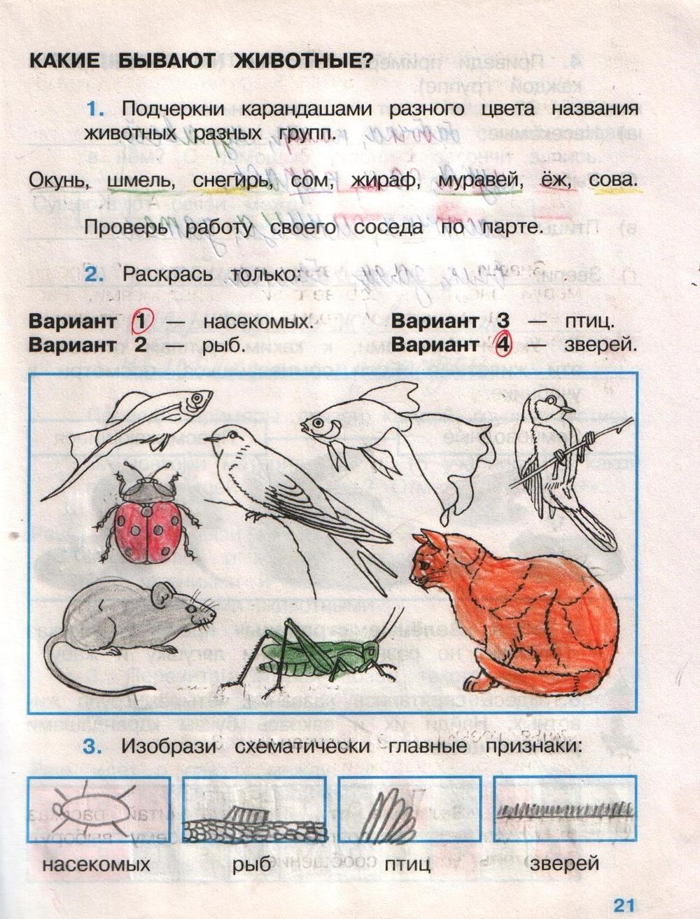 Окружающий мир 2 класс страничка 19