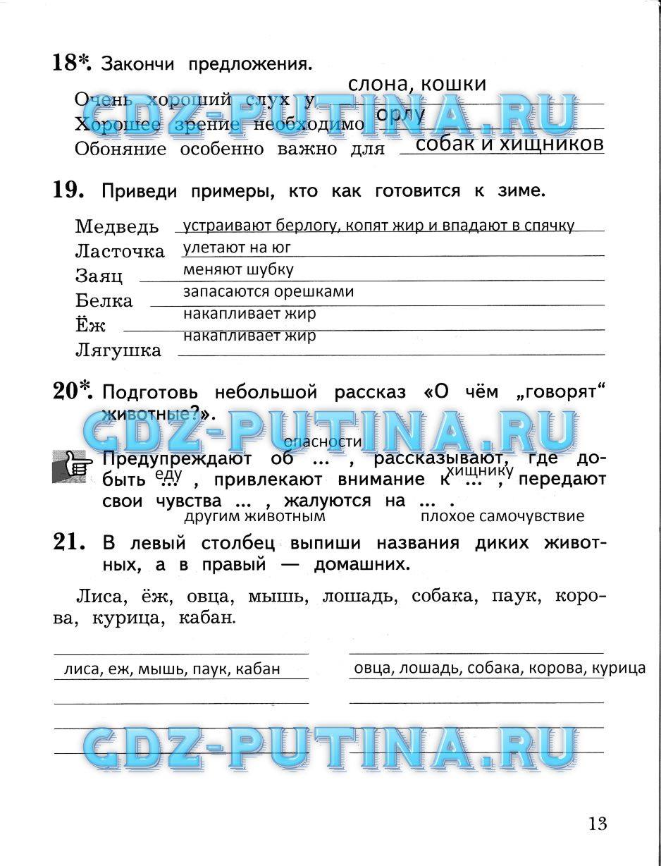 Рабочая тетрадь, 2 класс, Виноградова Н.Ф., 2013, Часть 2 Задание: 13