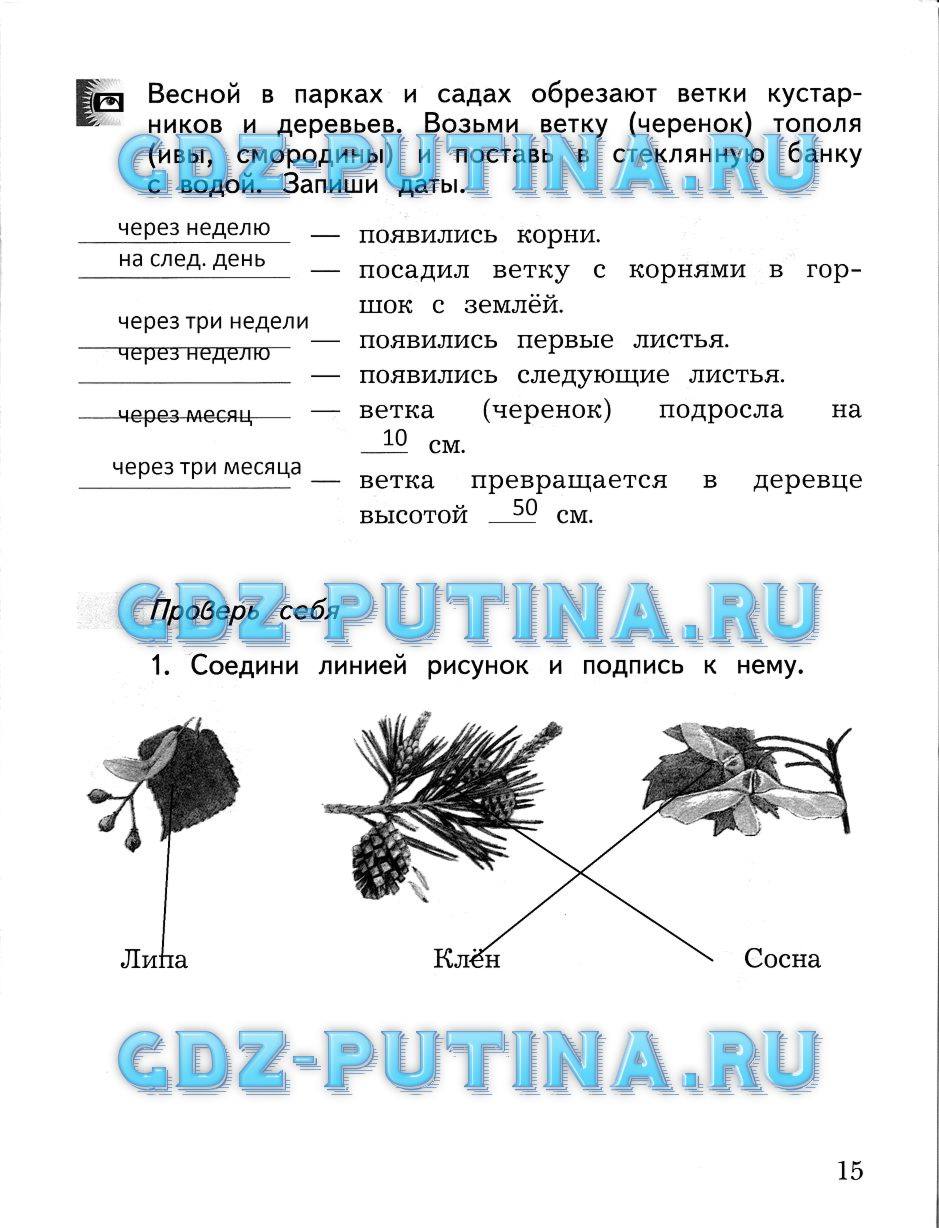 Рабочая тетрадь, 2 класс, Виноградова Н.Ф., 2013, Часть 2 Задание: 15