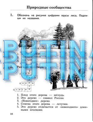 Рабочая тетрадь, 2 класс, Виноградова Н.Ф., 2013, Часть 2 Задание: 18