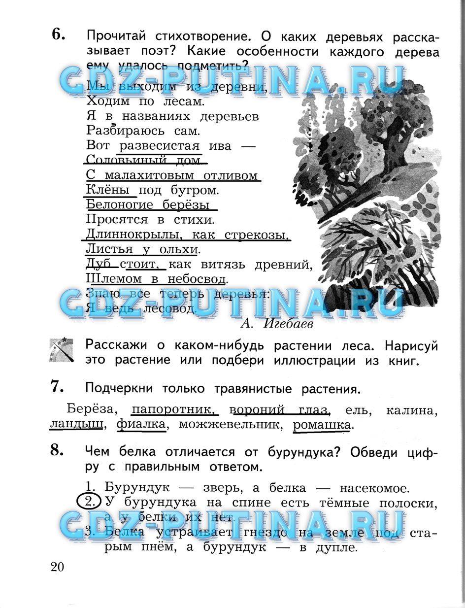 Рабочая тетрадь, 2 класс, Виноградова Н.Ф., 2013, Часть 2 Задание: 20