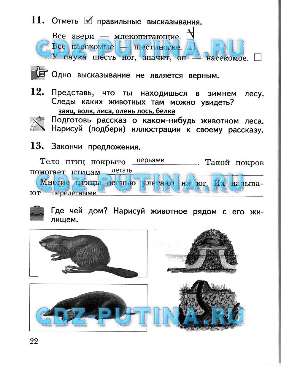 Рабочая тетрадь, 2 класс, Виноградова Н.Ф., 2013, Часть 2 Задание: 22