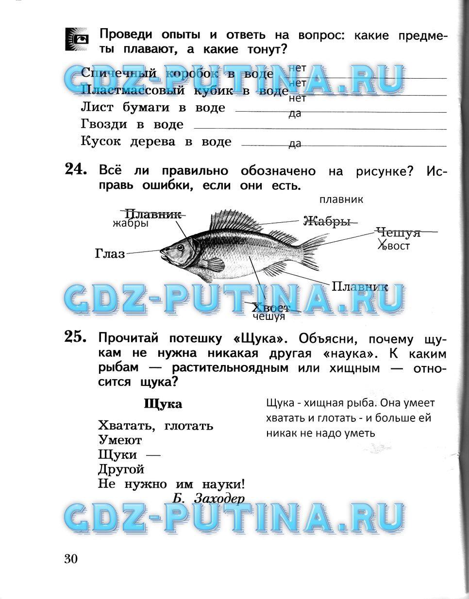 Рабочая тетрадь, 2 класс, Виноградова Н.Ф., 2013, Часть 2 Задание: 30