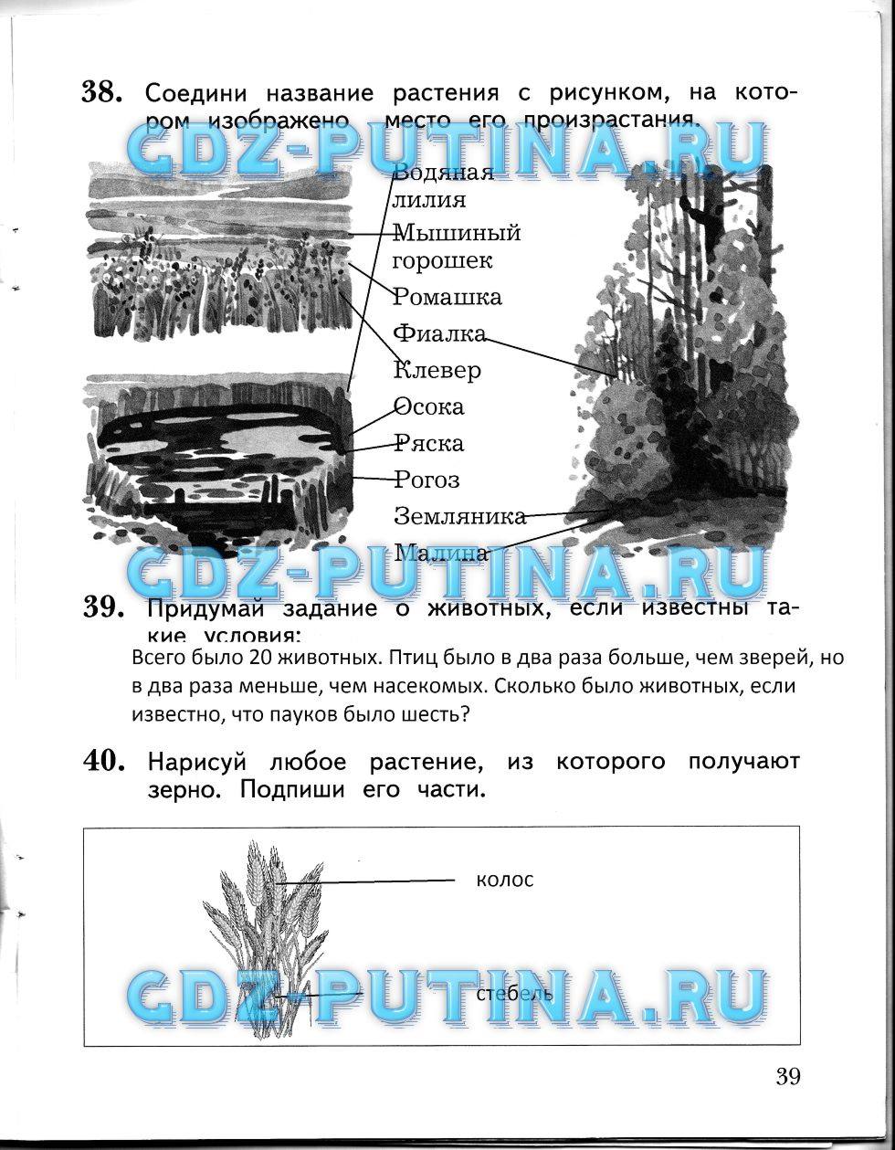 Рабочая тетрадь, 2 класс, Виноградова Н.Ф., 2013, Часть 2 Задание: 39