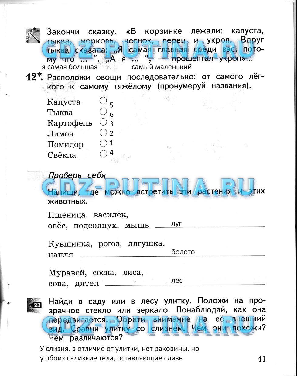 Рабочая тетрадь, 2 класс, Виноградова Н.Ф., 2013, Часть 2 Задание: 41