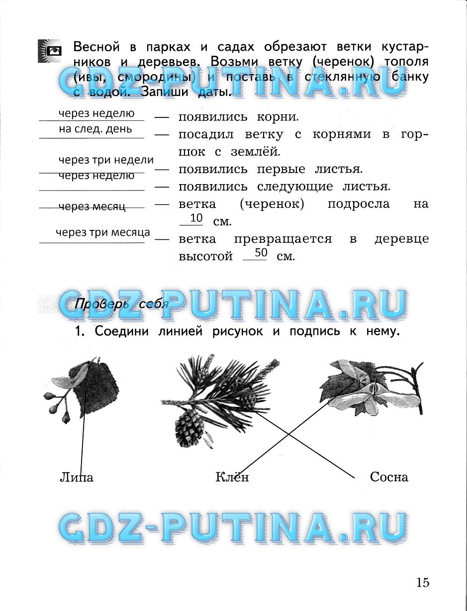 Рабочая тетрадь, 2 класс, Виноградова, 2015, Часть 2 Задание: 15