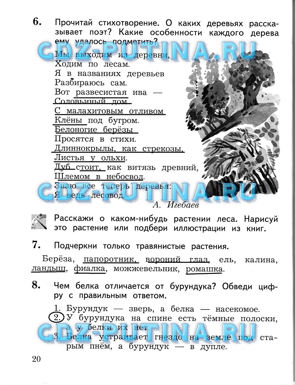 Рабочая тетрадь, 2 класс, Виноградова, 2015, Часть 2 Задание: 20