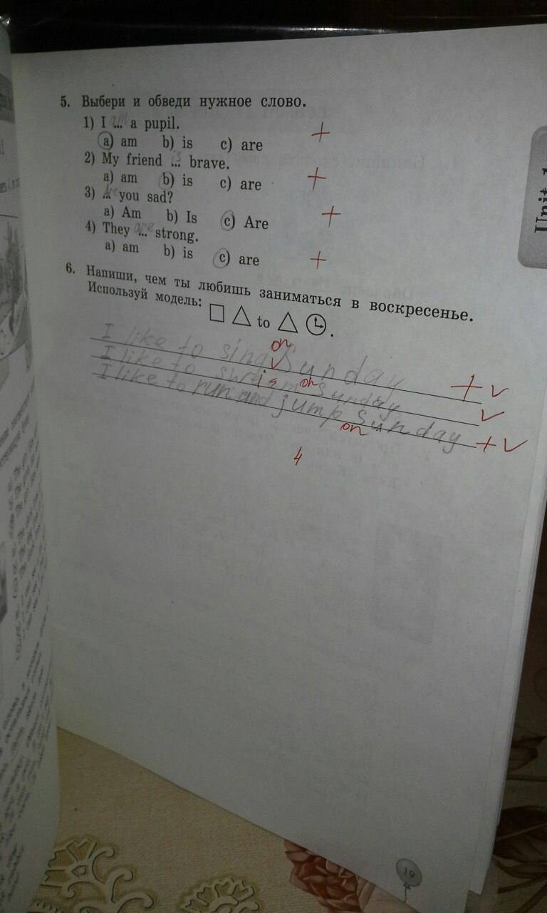 Рабочая тетрадь Enjoy English, 3 класс, Биболетова М.З., Денисенко О.А., Трубанева Н.Н., 2011-2013, задание: стр. 19