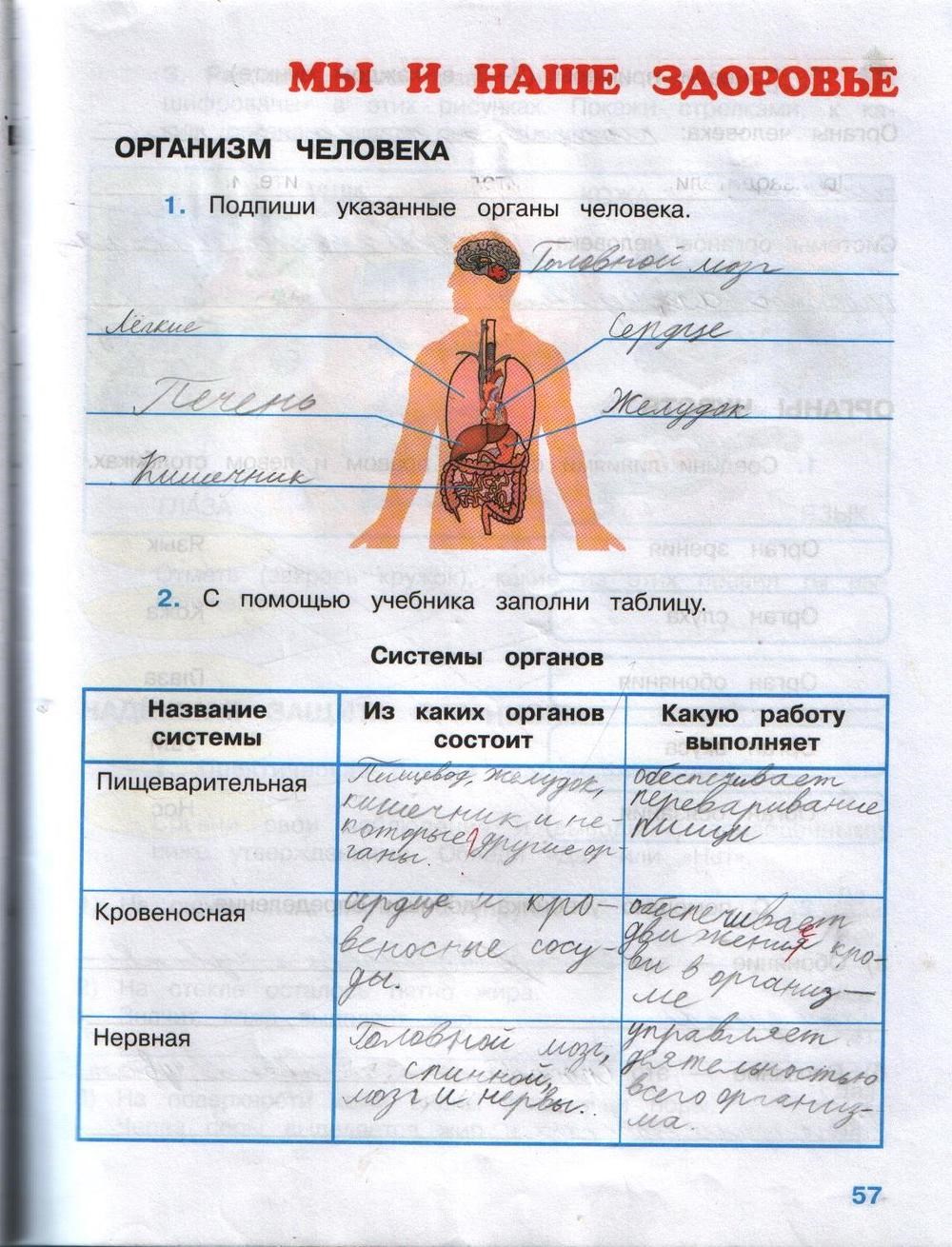 Рабочая тетрадь. Часть 1, Плешаков А. А., 2015