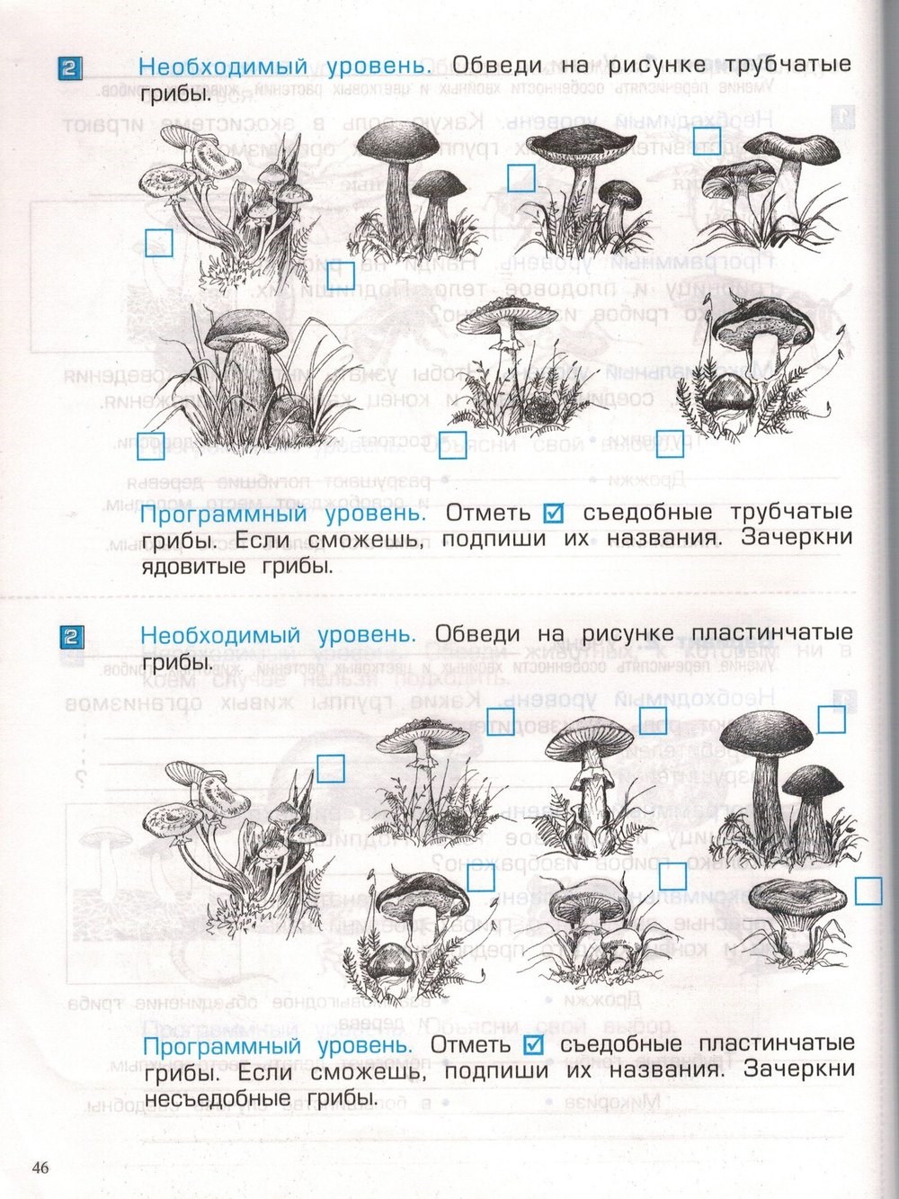 Окружающий мир 3 класс тетрадь тесты