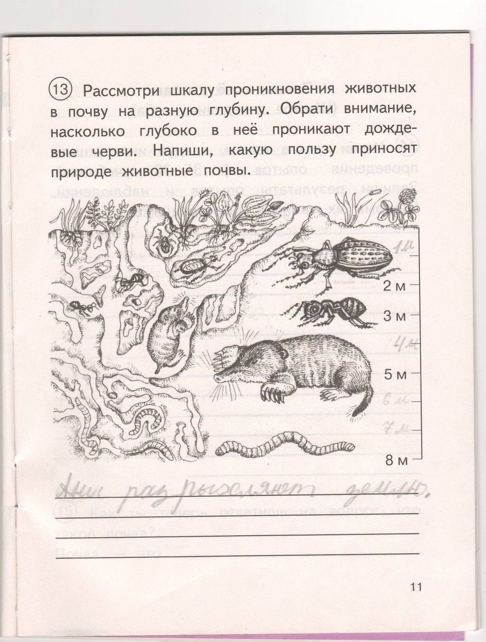 Рабочая тетрадь. Часть 2, Федотова О.Н., Трафимова Г.В., Трафимов С.А., 2015