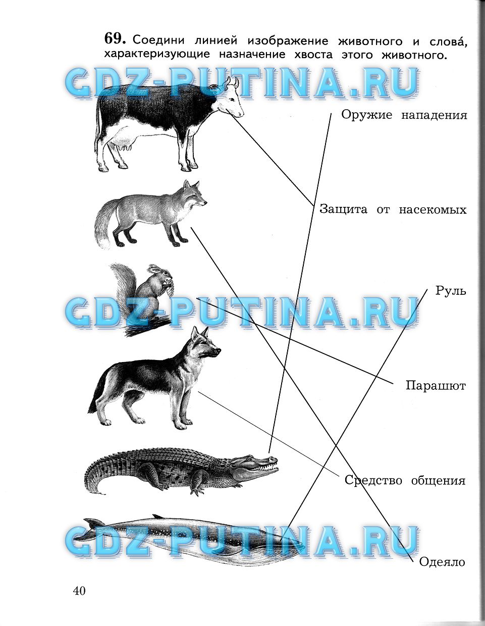 Рабочая тетрадь, Виноградова Калинова, 2015