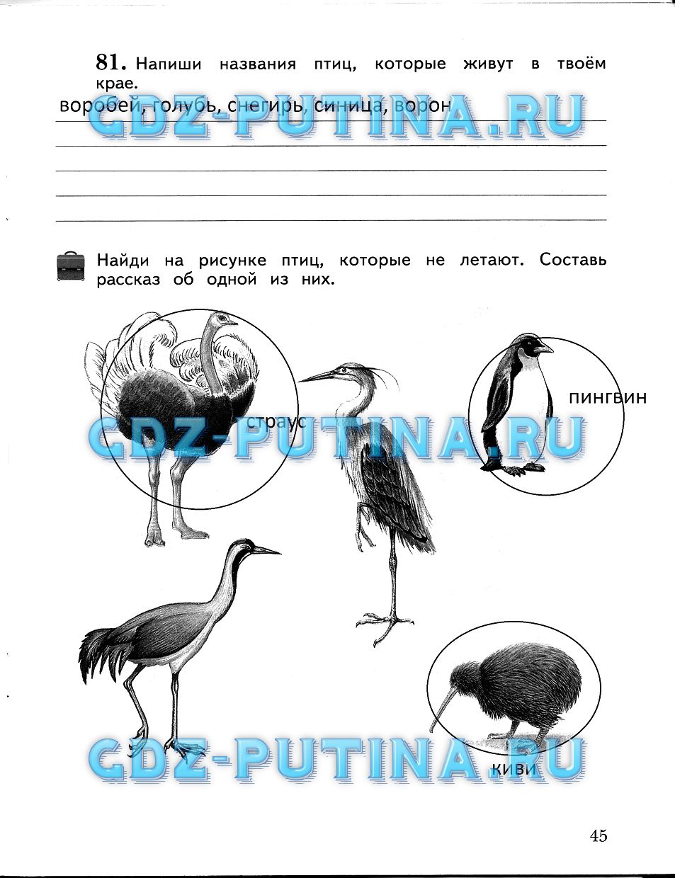 окружающий мир третий класс рабочая тетрадь страница часть второй. окружающий 3 класс тетрадь стр 45. окружающий 3 класс тетрадь стр 45. окружающий 3 класс тетрадь стр 45. окружающий мир плешаков рабочая тетрадь 3 класс 2 часть страница.
