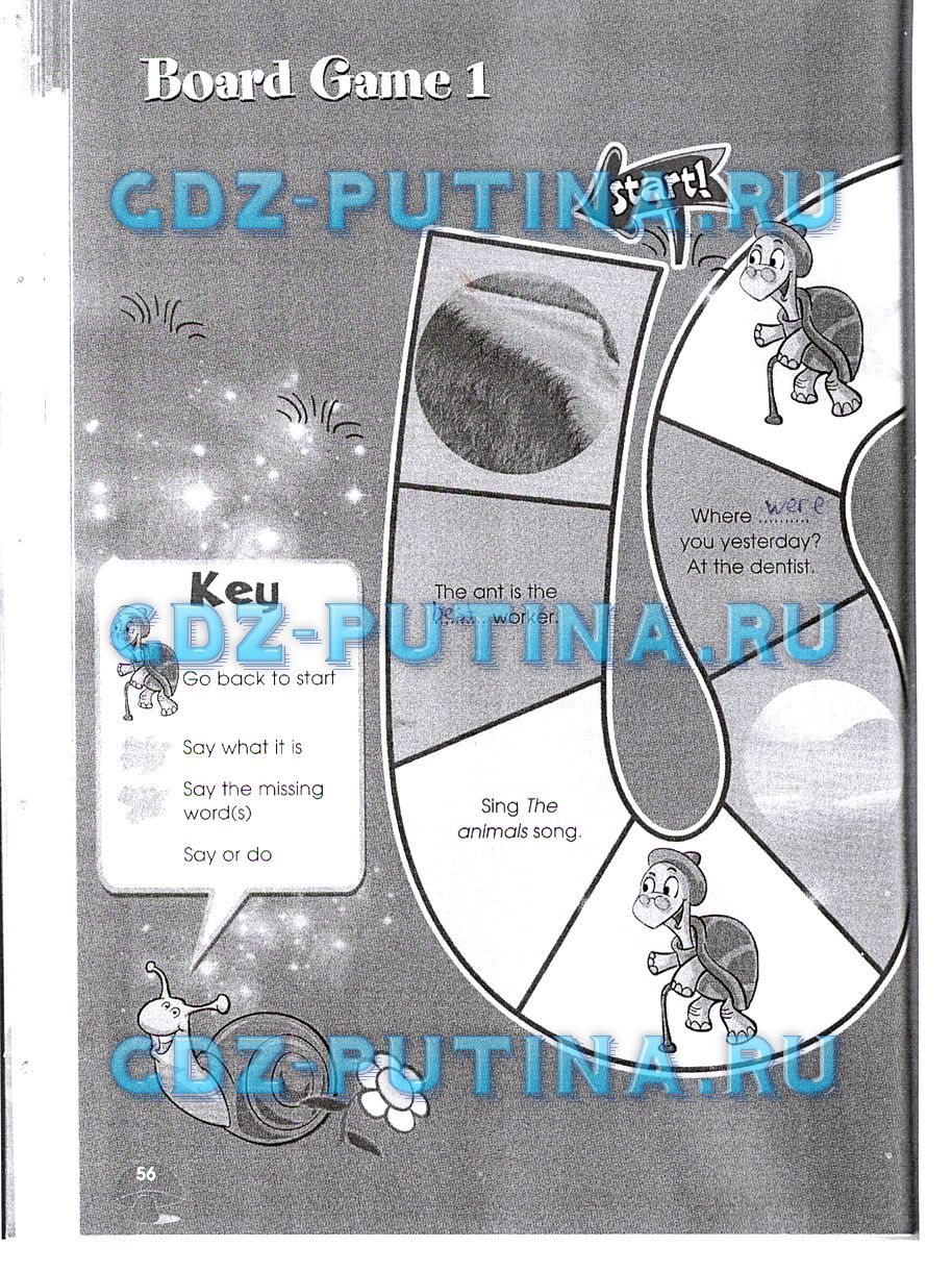 Рабочая тетрадь. Starlight, 4 класс, Баранова, 2015, Часть 2 Задание: 56