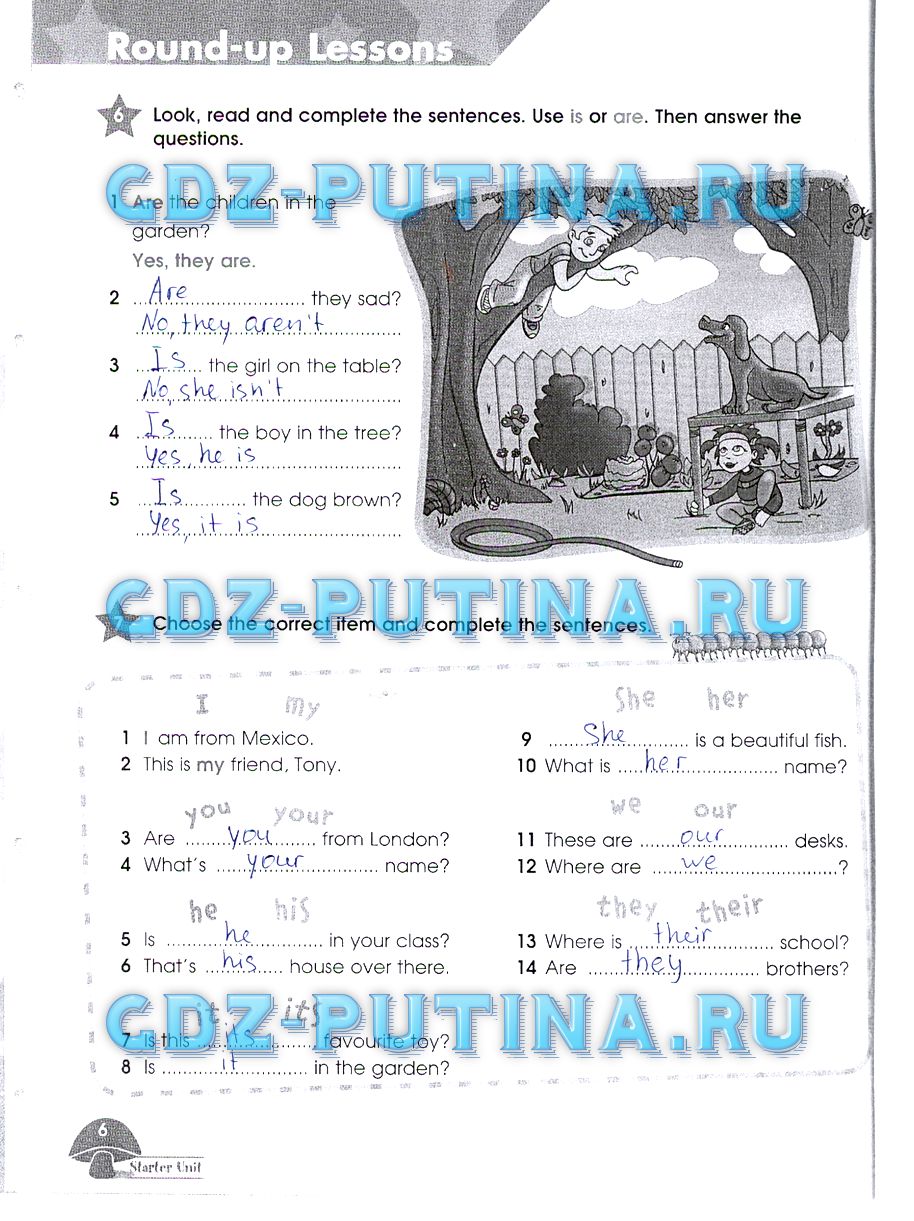 Рабочая тетрадь. Starlight, 4 класс, Баранова, 2015, Часть 1 Задание: 6